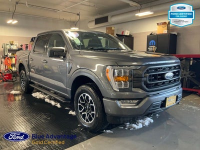 2023 Ford F-150 XLT